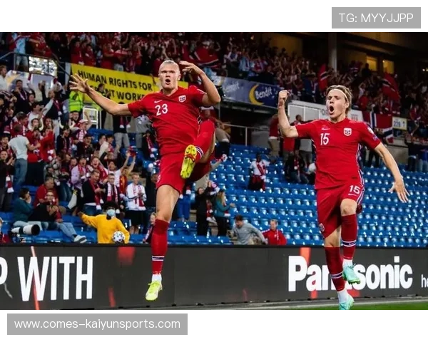 哈兰德的绝杀背后，哈兰德 受伤